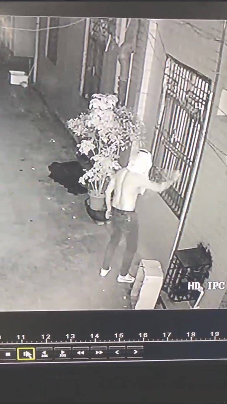 181030ygccfv589hhcg10o.jpg