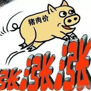 ΪʲôǼôף