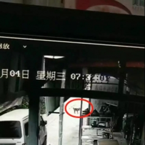 732֣½ᶫɯץ...