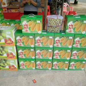 䡰ı󡪡 ʵʩСʽũƷ